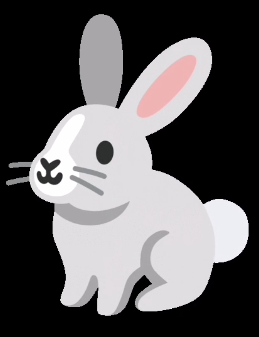 Bunny